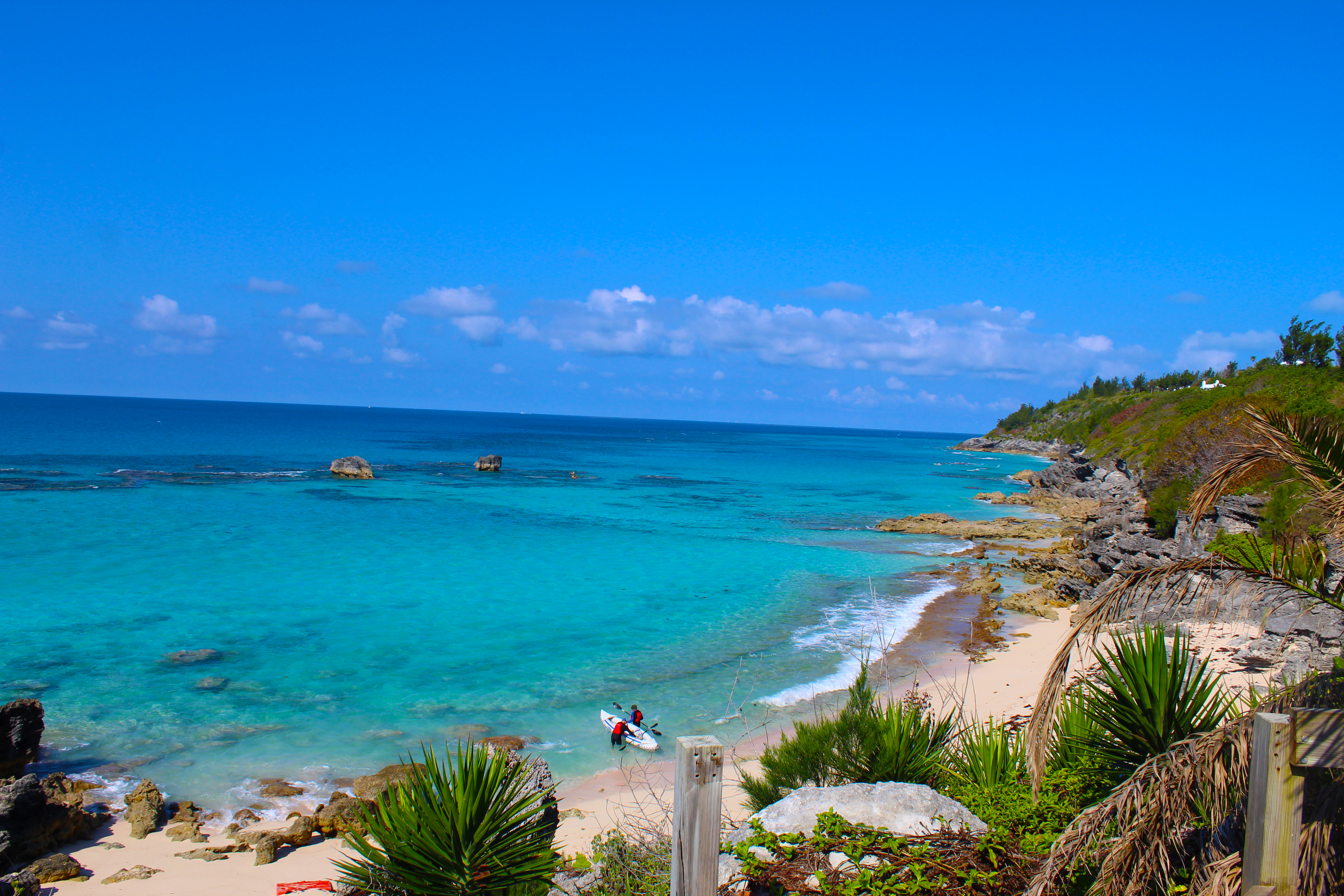 bermuda sea